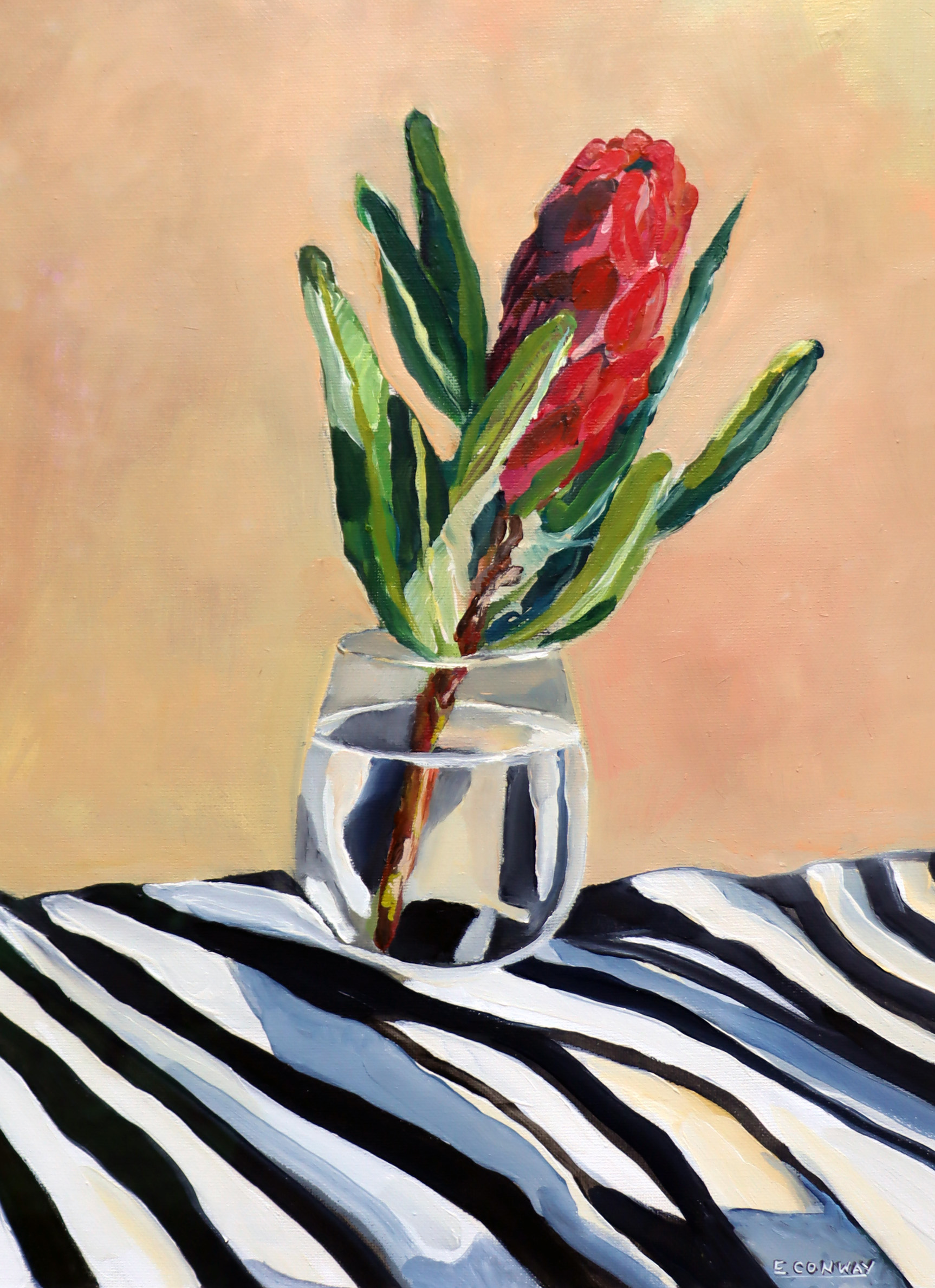 Paula’s Protea