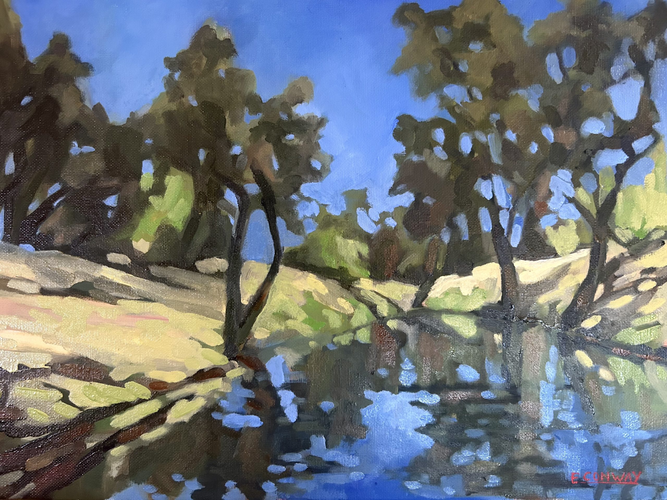 Morning Swim, Rochester Swimming Hole